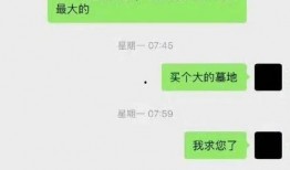 葛斯齐最新爆料聊天记录,揭秘聊天记录背后的惊人真相