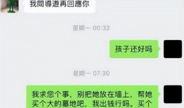 葛斯齐最新爆料聊天记录,揭秘聊天记录背后的惊人真相