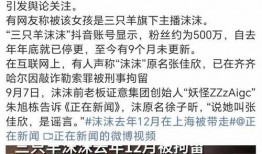 最新爆料三只羊,揭秘背后惊人真相